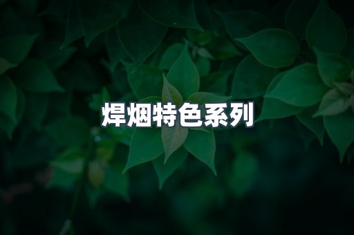 焊烟特色系列