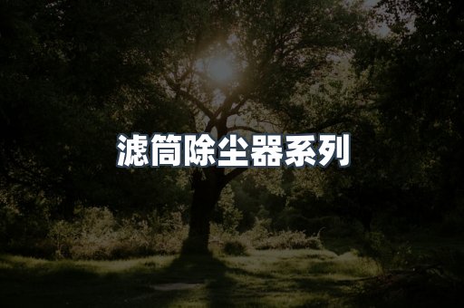 滤筒除尘器系列