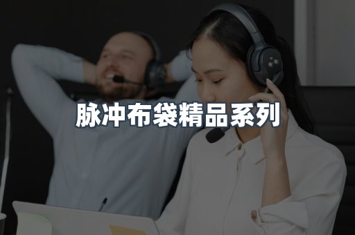 脉冲布袋精品系列