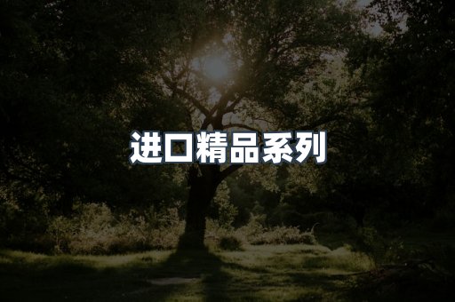 进口精品系列